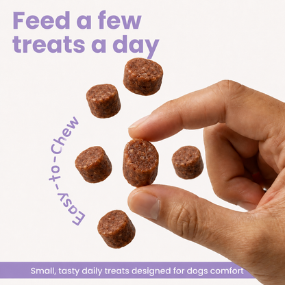 Healthy probiotic dog treats